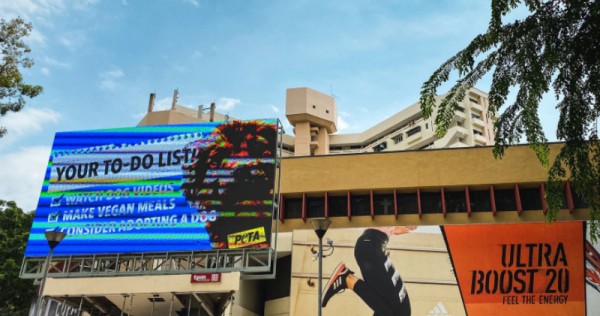 ultra boost queensway