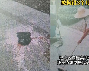 Woman in China throws bags of faeces from flat for 2 months, caught after poop splatters on man