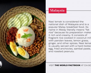 CIA&#039;s Facebook post about nasi lemak amuses Malaysians: &#039;Dangerous food if you&#039;re on a mission&#039;