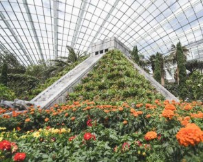 Experience Mexican magnificence at Gardens by the Bay&#039;s new display