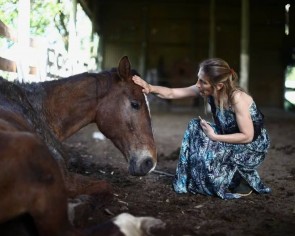 In Argentina, land of the gaucho, a home for unloved old horses