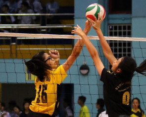 Volleyball: Underdogs triumph at last