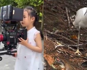 Girl in China uses father&#039;s $104,000 camera for homework, wows 180 million netizens