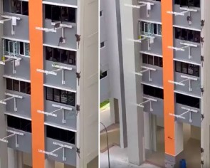 Macaques climbing up into 5th floor Clementi flat and raiding kitchen spook netizens