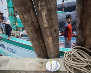 Indonesian workers still face abuse at sea, despite efforts to end modern slavery: Report