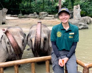 Pachyderm passion: She went from TV production to elephant care
