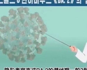 &#039;Scientific&#039; North Korean Omicron video wins fans in zero-Covid China