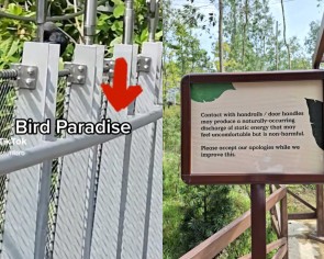 &#039;The walks are electrifying&#039;: Visitors warn after suffering static shocks at Bird Paradise