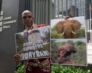 Tales of murder and suffering in Hong Kong ivory ban debate