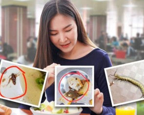 Hell&#039;s kitchen: Images of cockroaches, cigarette butts, batteries and worms in food at university canteen shock China