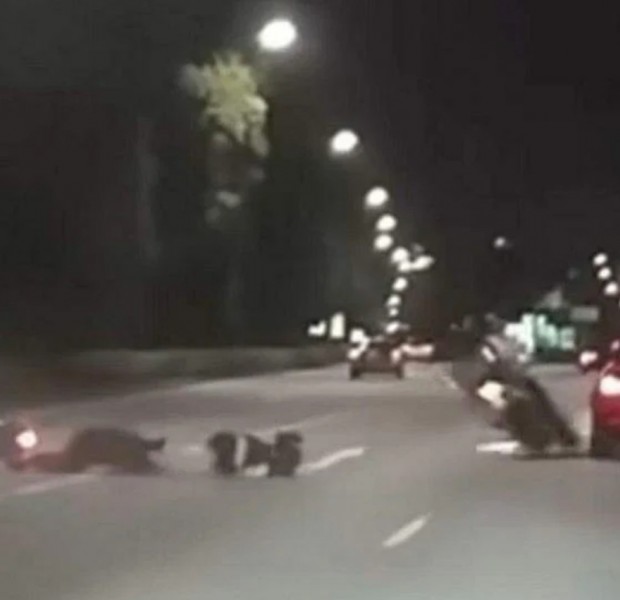 Motorcycle cuts across BKE aggressively and hits another, sending motorcylists and pillion riders flying