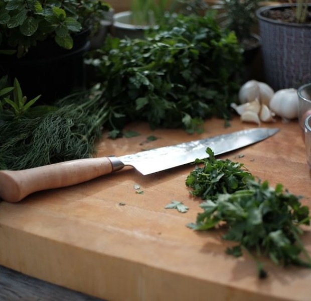 Edible herbs that are actually easy to grow at home