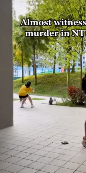 No photos please: Macaques at NTU lunge at woman trying to get close