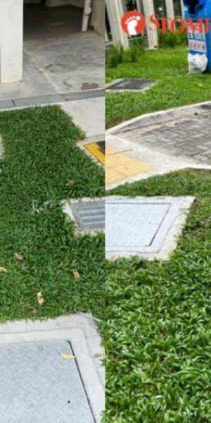 Resident raises a stink over bags of poop thrown from Sengkang block every day