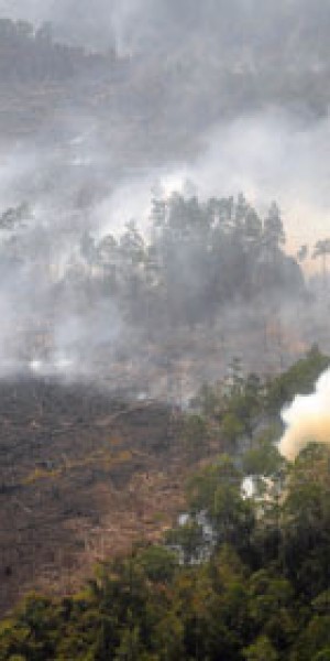 Jakarta set to ratify haze pact