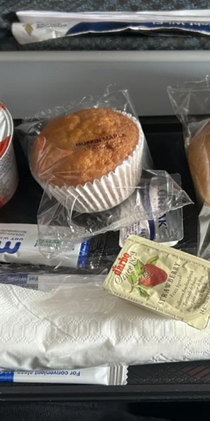 Cookhouse food? Netizens react after traveller served &#039;pathetic&#039; SIA in-flight meal
