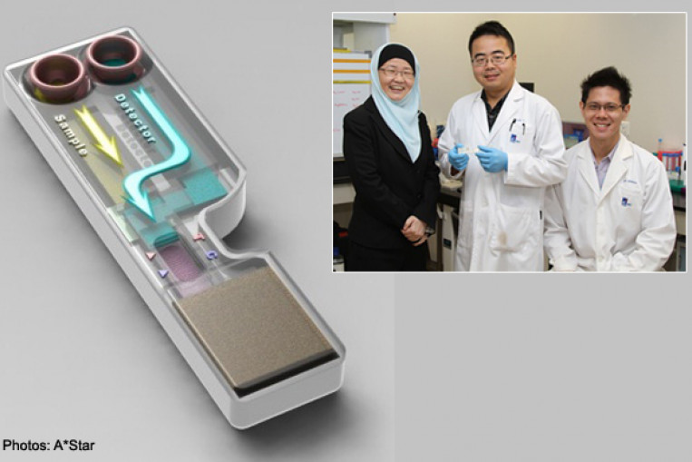 MadeinSingapore test kit detects dengue from saliva in 20 minutes