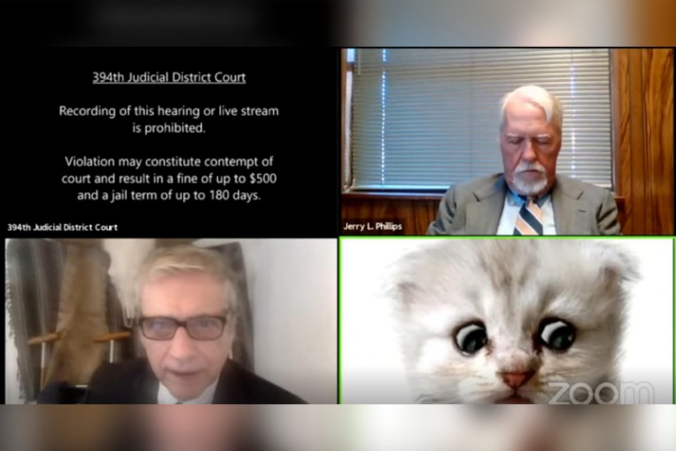 I'm not a cat,' says lawyer after Zoom filter mishap, Digital News - AsiaOne
