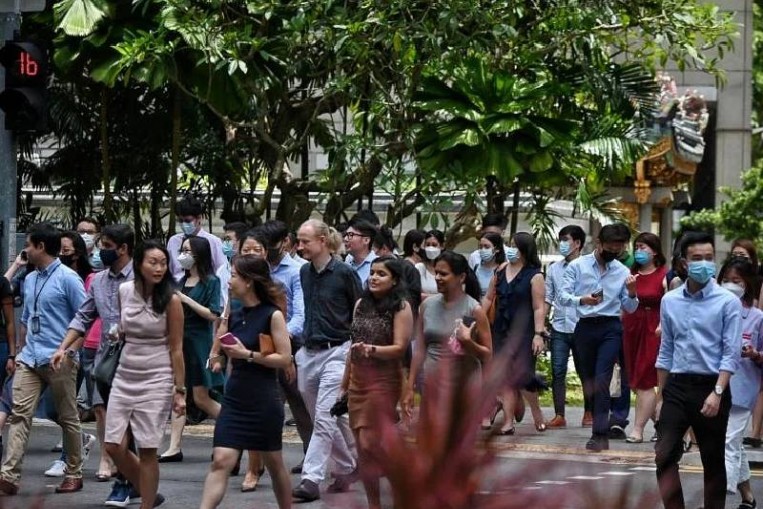 Masks optional on public transport, border measures to be stepped down