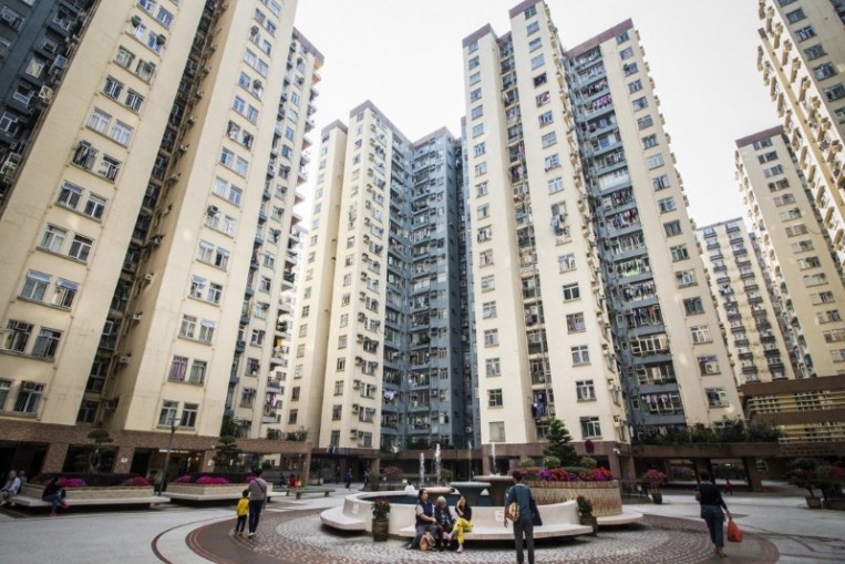 Pet owner in Hong Kong arrested after dog falls to its death from 19th