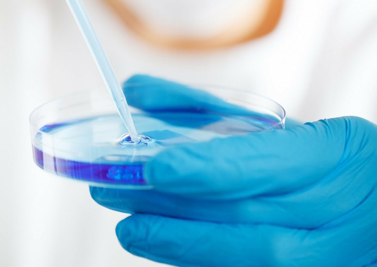 No sperm or egg required: Mouse proto-embryo made in the lab