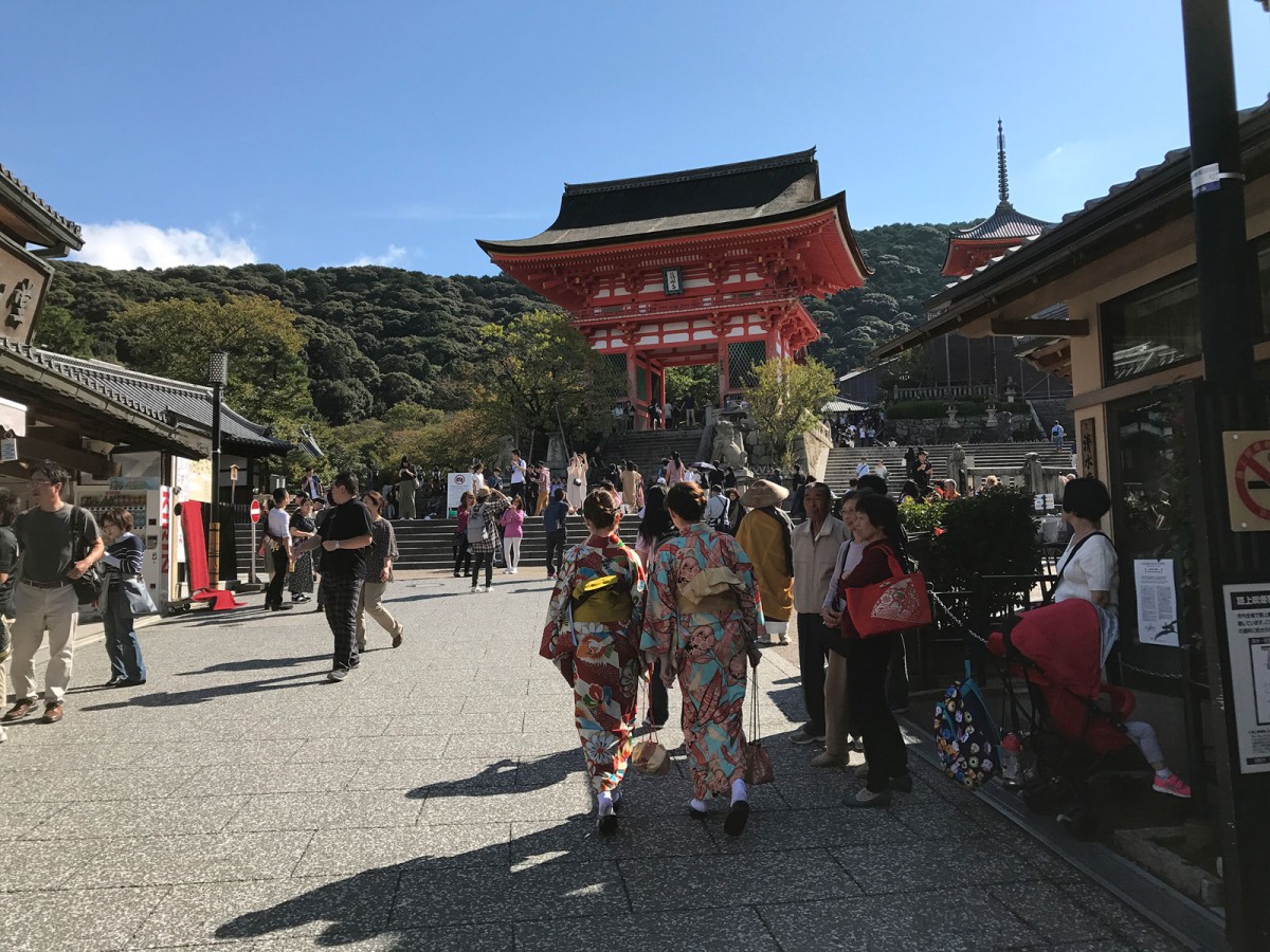 If you're born in the year of the Dog: Ignite your inner culture vulture at Kyoto, Japan, the formal capital city where you can wander among historic temples and castles set amidst lush greenery.