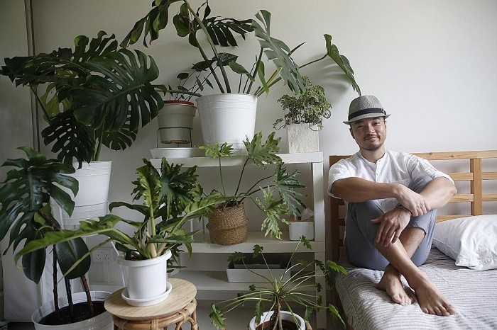 Singapore homeowners embrace the jungalow trend