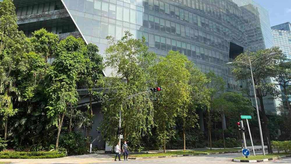 Gazetted car-lite areas in Singapore: One-north