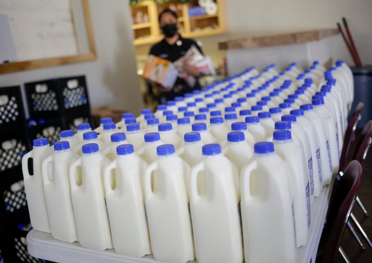 Bird flu: US tests show pasteurised milk is safe