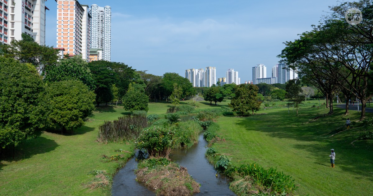 6 fun and practical ways to celebrate Earth Day