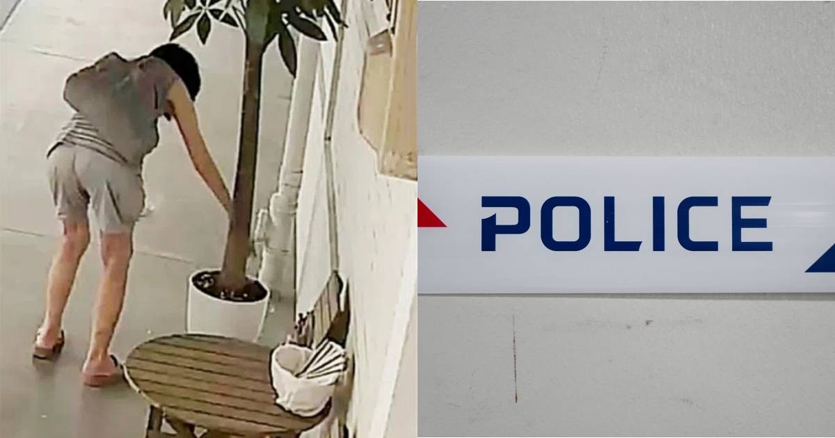 Yishun resident files police report after woman allegedly dumps flyers, sugar in plant pot