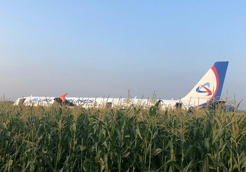 Russian pilot saves over 230 lives landing jet in corn field