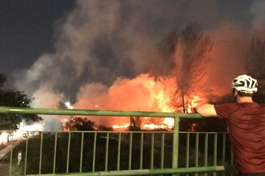 Vegetation fire in Marina East 'the size of two football fields' brought under control