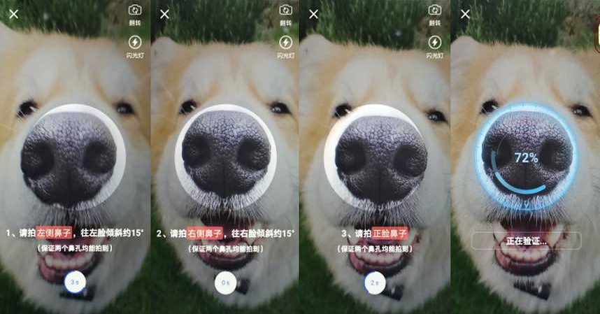 Dog nose print recognition technology used for high-end pet insurance in China