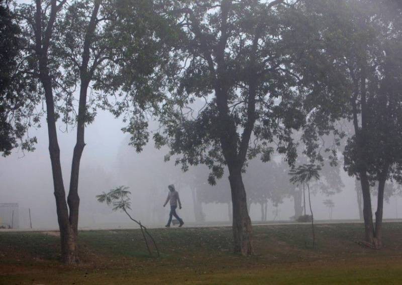 Pakistan seeks to bring fresh air to polluted cities with 10 billion trees