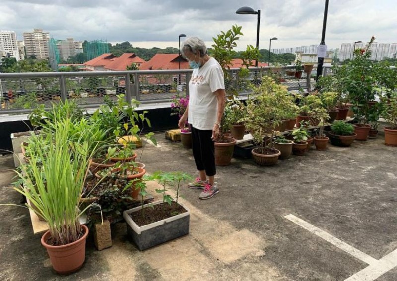 ‘This place is where many of us seek comfort’: Bukit Batok residents emotional after being told to clear carpark rooftop garden