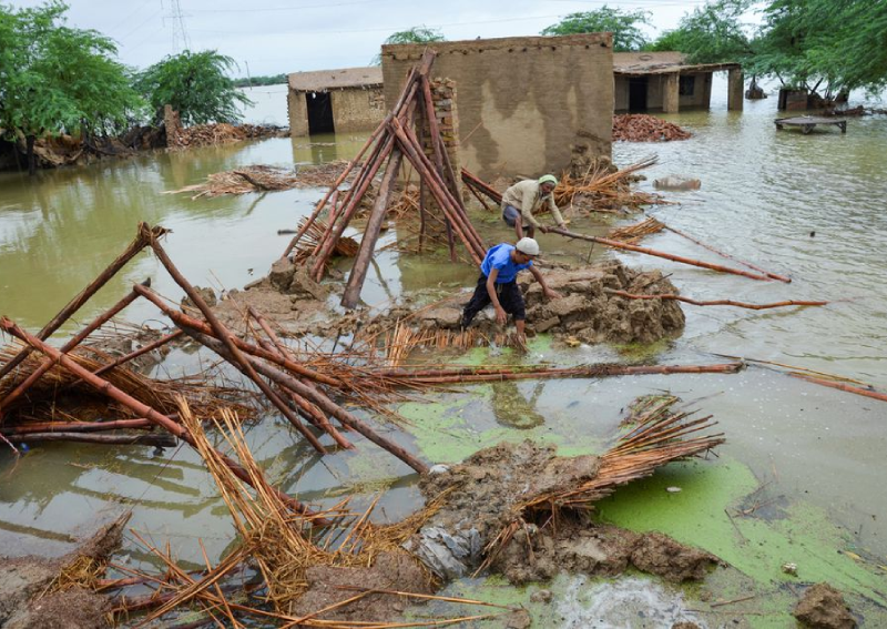 Pakistan floods have affected over 30 million people: Climate change minister