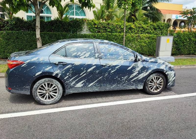 'Imagine if I was a cyclist': Woman's car splattered with cement from passing truck, MP responds