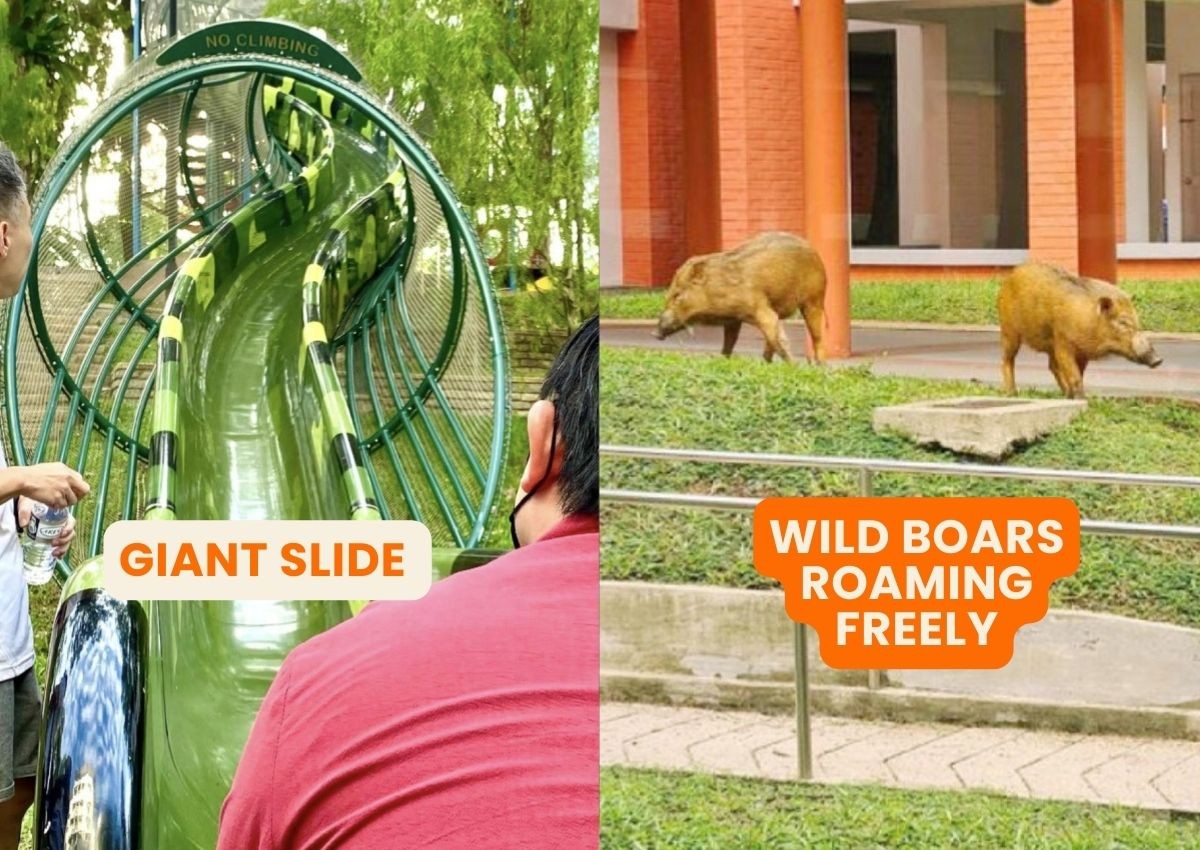 Picturesque parks, wildlife and unlimited free foodpanda deliveries: Why Yew Tee isn't as 'boring' as you think