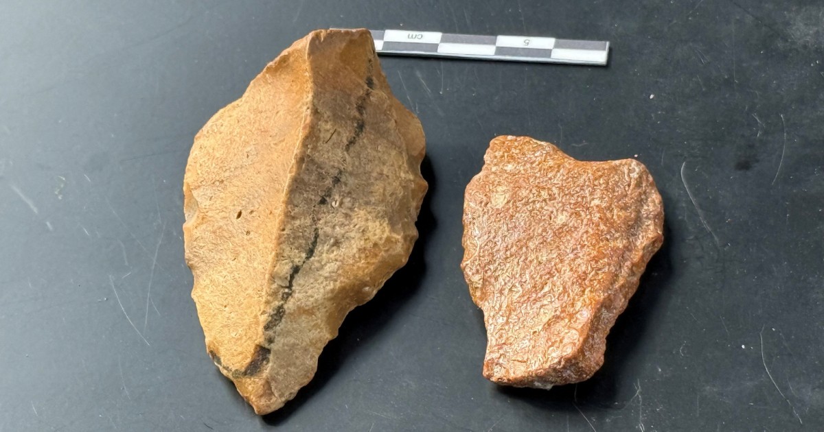 Scientists find possible artefacts of oldest known Wallacean hominids in Indonesia