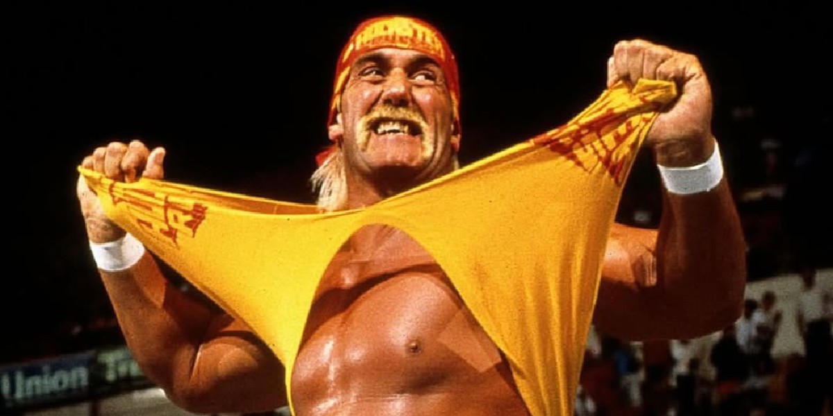 Hulk Hogan never met grandkids before his death