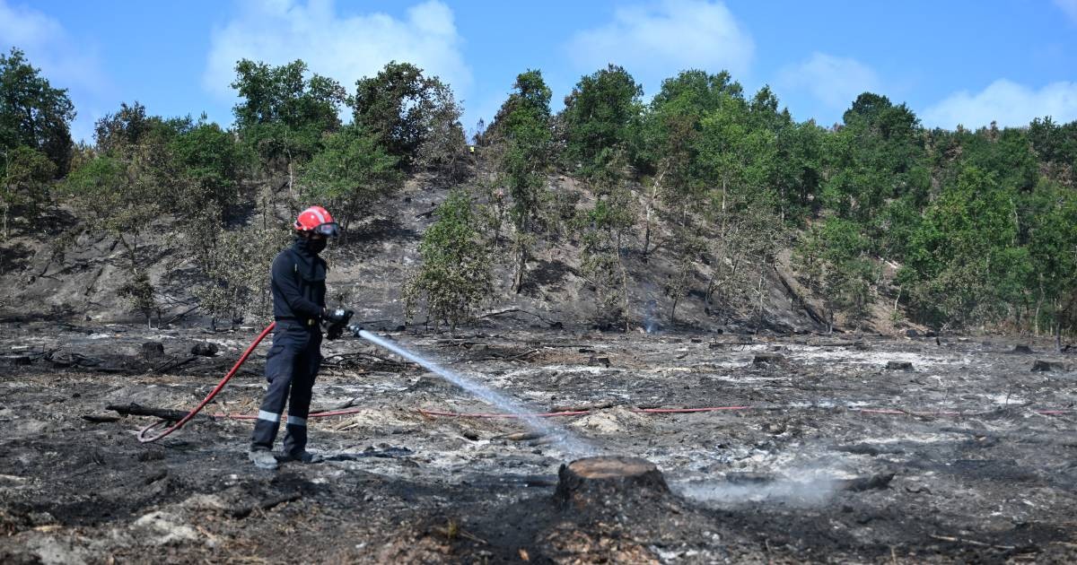 As heat and dry conditions fan wildfires in France, volunteers fan out to help