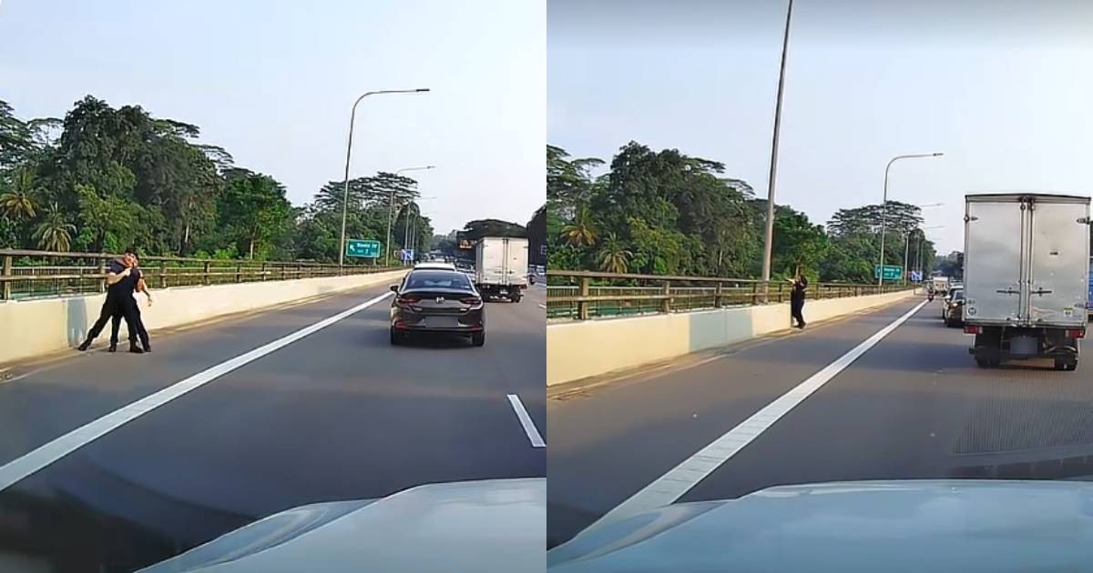 Man seen restraining another from escaping along BKE; vape thrown over bridge