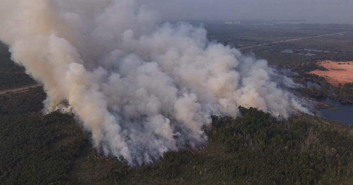 Punggai bushfire razes 51.4ha area in Johor's Kota Tinggi