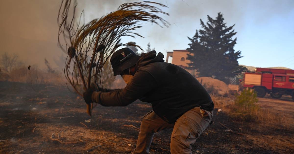 Europe's hot, dry summer takes its toll with fires in France and Greece, and drought in the UK