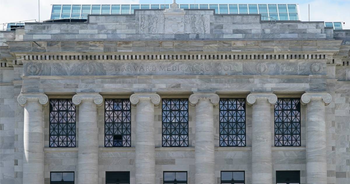 Harvard agrees to $67m settlement over body parts stolen and sold by former morgue manager