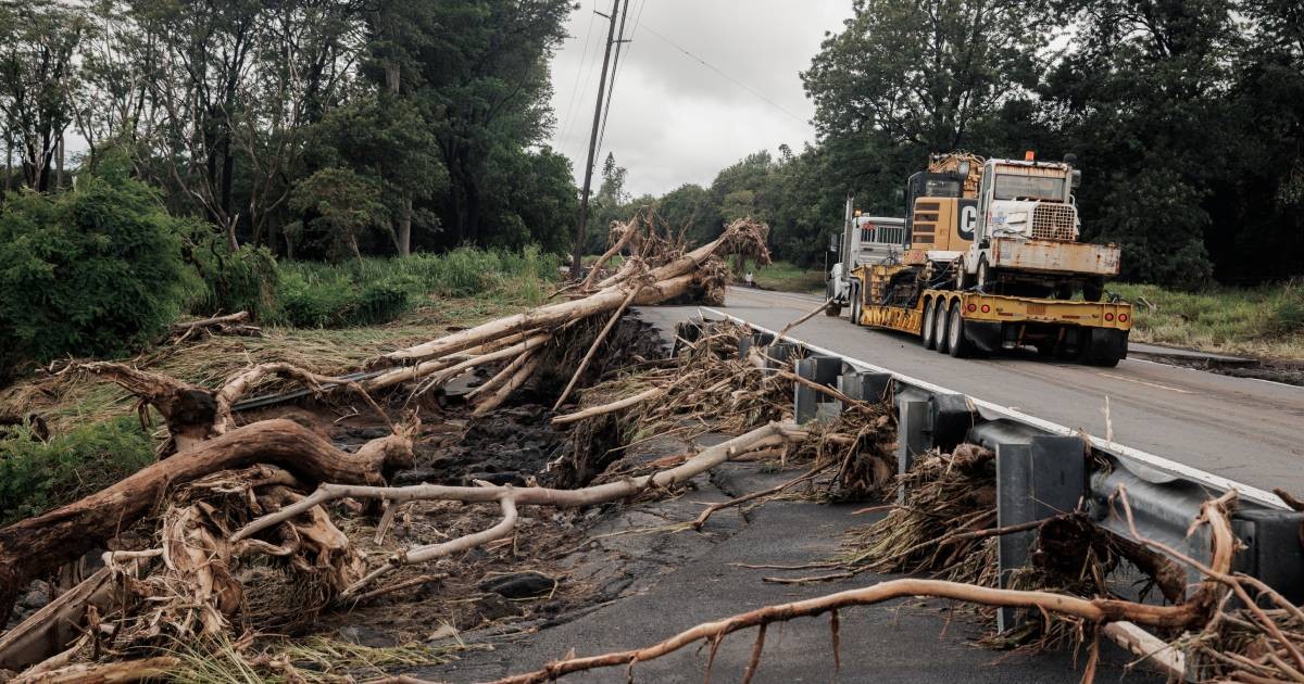 Thousands without power after Tropical Storm Lala uproots trees in Hawaii