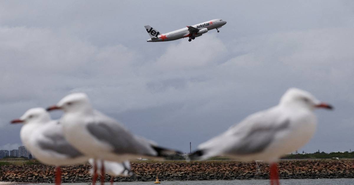 Australia's Jetstar to charge for carry-on bags in overhead lockers