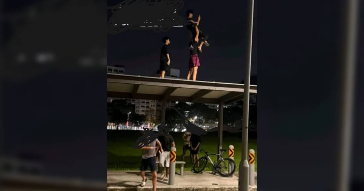 Dangerous stunt? People spotted on bus stop roof allegedly taking photos