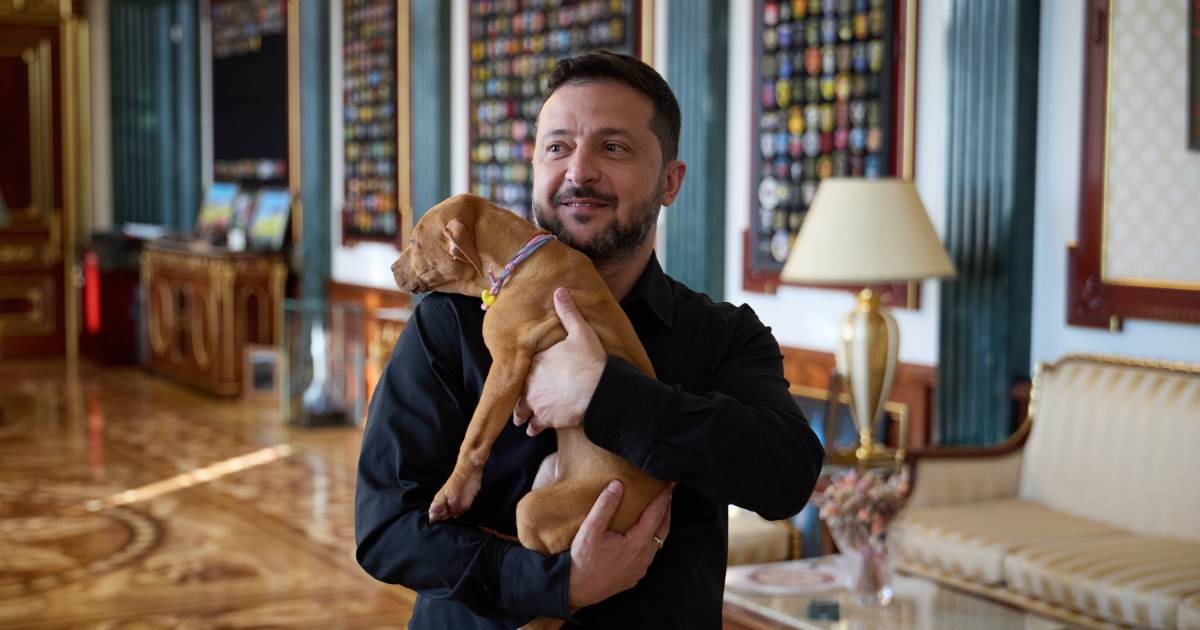 Ukraine's president coos over a puppy, starting a new volley in his war of visuals against Russia